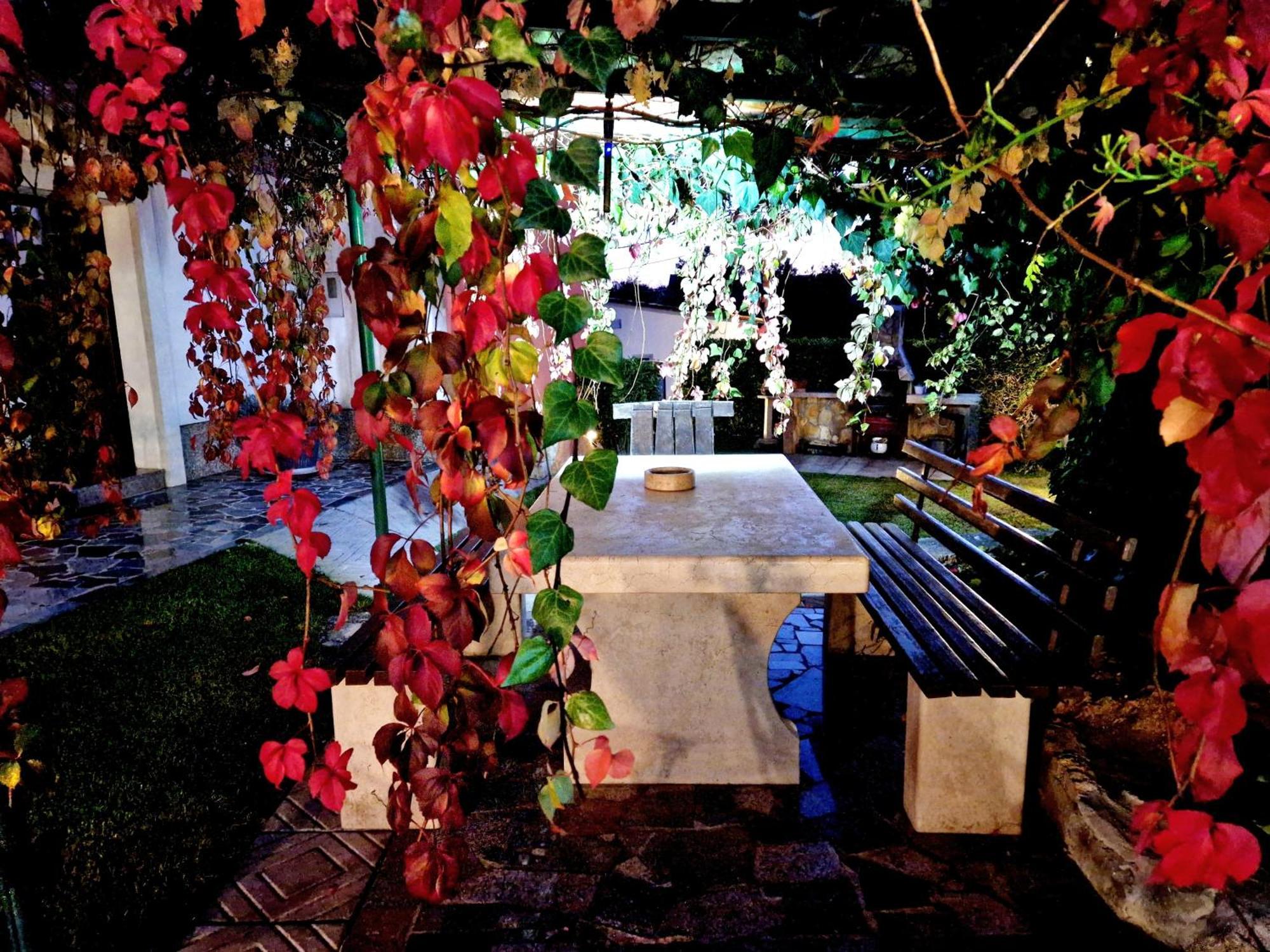 Casa Luana Villa Roč Екстериор снимка
